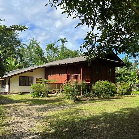 Brown House Chiangdao Pansiyon Chiang Dao Dış mekan fotoğraf