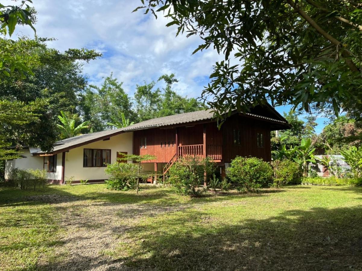 Brown House Chiangdao Pansiyon Chiang Dao Dış mekan fotoğraf