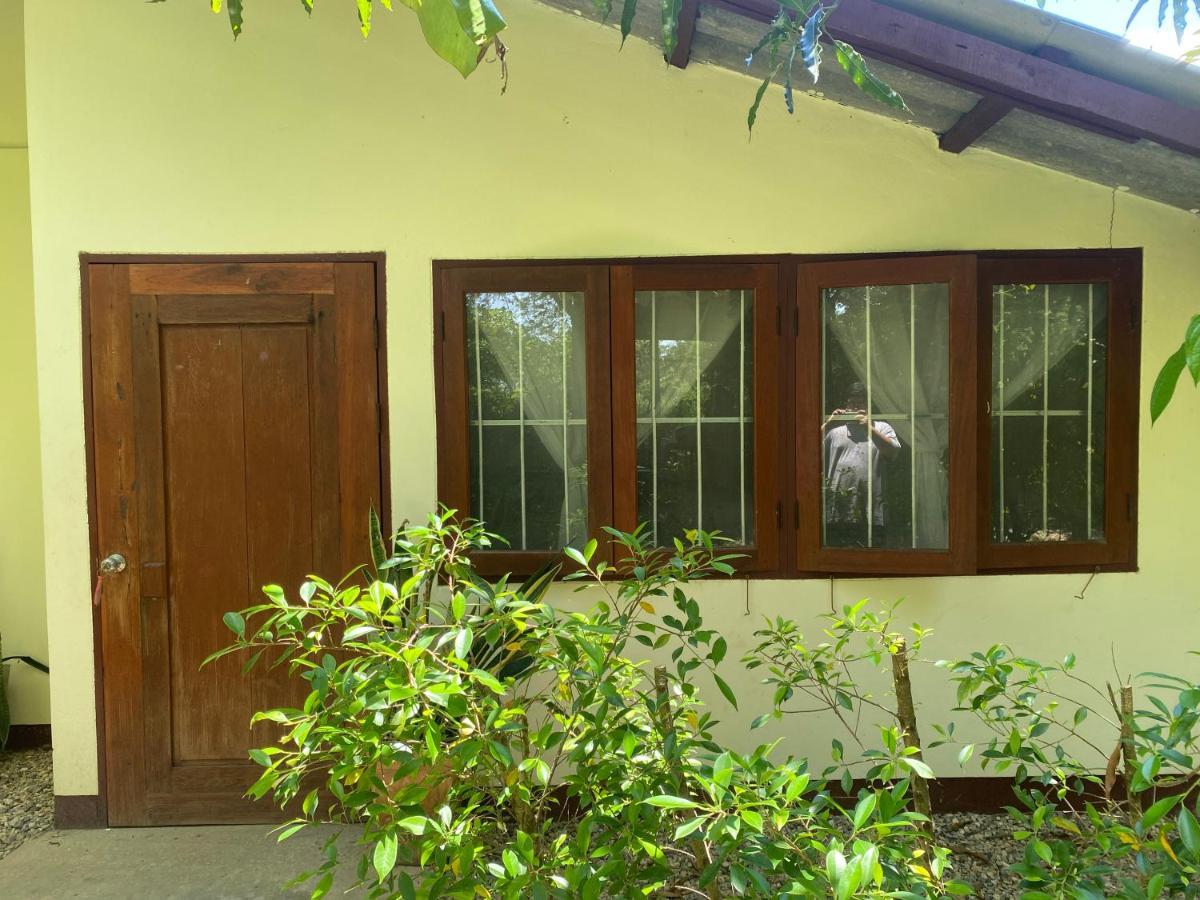 Brown House Chiangdao Pansiyon Chiang Dao Dış mekan fotoğraf