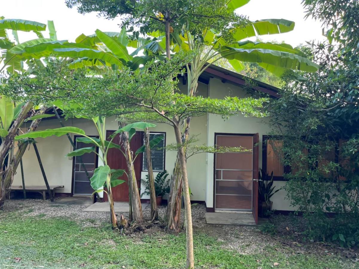Brown House Chiangdao Pansiyon Chiang Dao Dış mekan fotoğraf