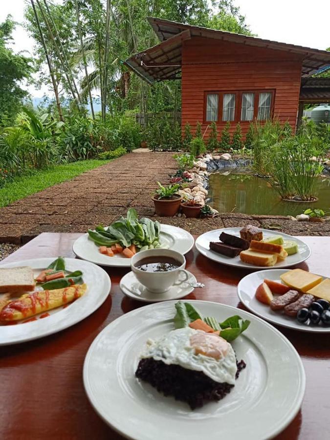 Brown House Chiangdao Pansiyon Chiang Dao Dış mekan fotoğraf
