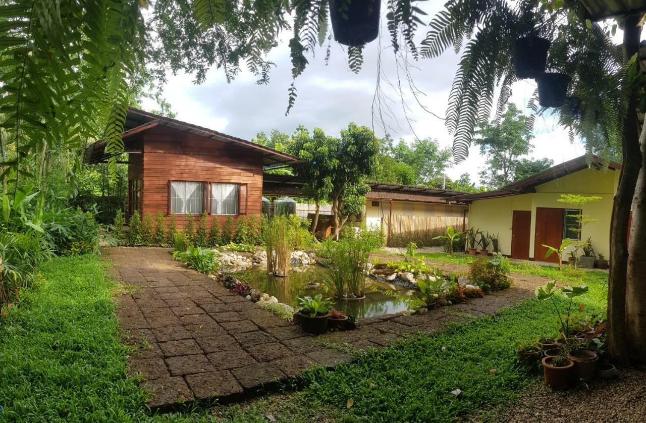 Brown House Chiangdao Pansiyon Chiang Dao Dış mekan fotoğraf